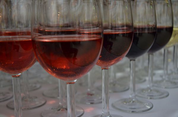 hungarocoat_2014_64_20141203_1824243645